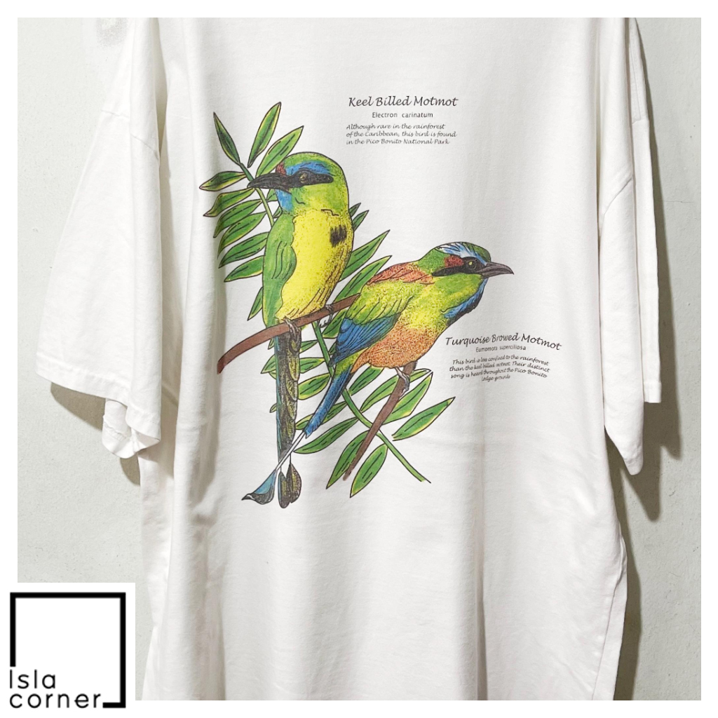 Vintage Keel billed Motmot Bird Nature T Shirt Vintage Keel billed Motmot Bird Nature T Shirt